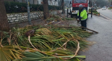 Ayvalık’ta Yeşil Alanlar Kesintisiz Bakımla Korunuyor