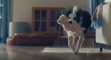 Bosch Anneler Günü Reklamı Neden Yayından Kaldırıldı?