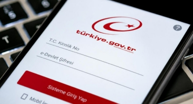 e-Devlet’te mutlaka kontrol edin: Adınıza kayıtlı hat, araç, taşınmaz ve şirket bilgileri tek ekranda