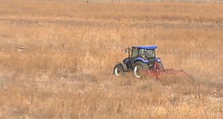 Ankara Büyükşehir Belediyesi, Atatürk Ormak Çiftliği'nde üretime başladı